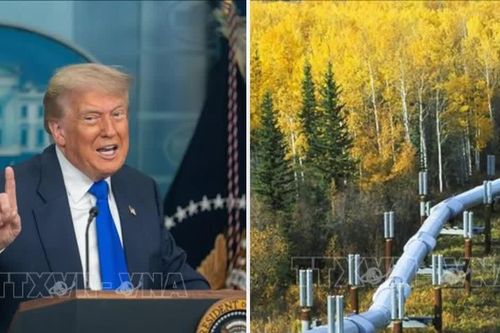 Tổng thống Trump muốn hồi sinh dự án đường ống dẫn dầu từng gây tranh cãi