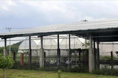 Thành lập Ban Quản lý các khu kinh tế và các khu công nghiệp Đắk Lắk