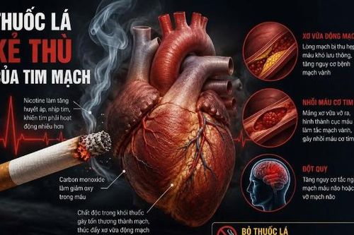 Thuốc lá - “Kẻ thù” của trái tim