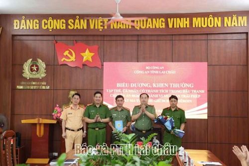 Công an tỉnh khen thưởng tập thể, cá nhân có thành tích trong đấu tranh với Chuyên án 0826C