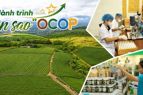 Hành trình “lên sao” OCOP