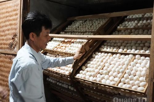 Đổi mới tư duy sản xuất