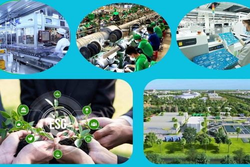 Đừng để ESG nằm trên giấy: Biến áp lực tuân thủ thành đòn bẩy năng suất