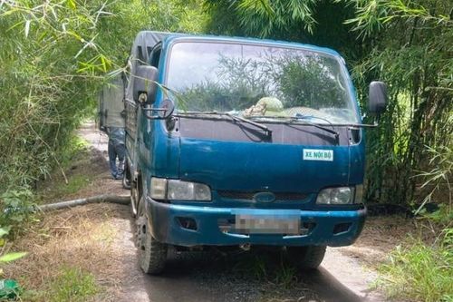 Đồng Nai: Bắt quả tang hai xe tải đổ chất thải trái phép giữa khu vực vườn tràm