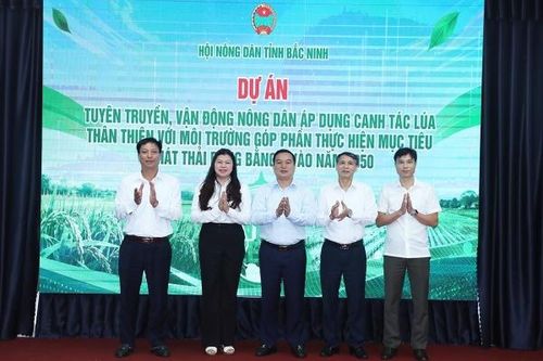 Bắc Ninh: Nhân rộng mô hình canh tác lúa giảm phát thải, hướng tới mục tiêu Net Zero 2050