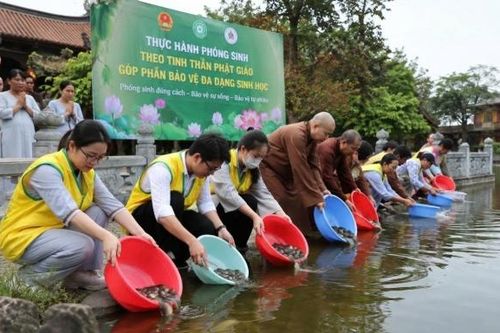 Tăng cường tuyên truyền, hướng dẫn phóng sinh đúng quy định, góp phần bảo vệ đa dạng sinh học