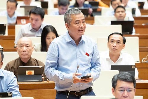 ĐBQH Nguyễn Lân Hiếu: Nên bỏ tự chủ bệnh viện tuyến cơ sở ở vùng khó khăn