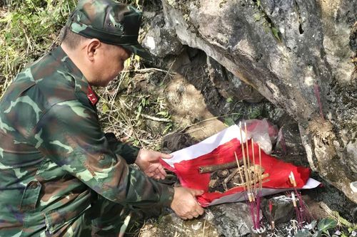 Tìm cho bằng được dù chỉ là mẩu xương hay cái cúc áo