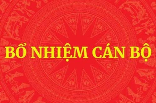 Hướng dẫn thủ tục bổ nhiệm chức vụ lãnh đạo, quản lý đối với công chức, viên chức