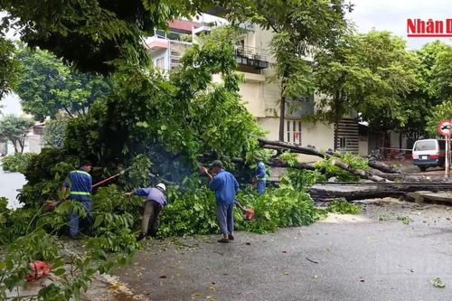 [Video] Chủ động phòng ngừa mất an toàn điện trong mùa mưa bão
