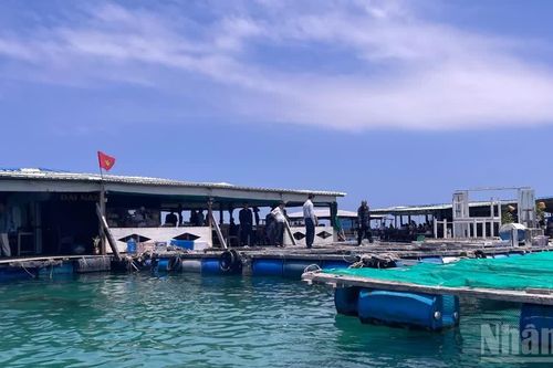 Lâm Đồng xây dựng giải pháp nuôi trồng thủy sản trên biển