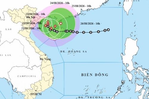 Áp thấp nhiệt đới mạnh lên thành cơn bão số 4, di chuyển chậm, gió gần tâm bão cấp 8