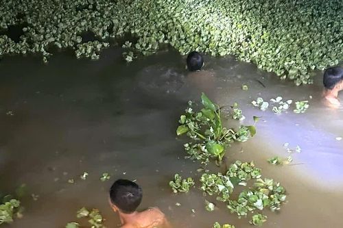 Bé gái mất tích, tìm thấy thi thể dưới ao nước gần nhà