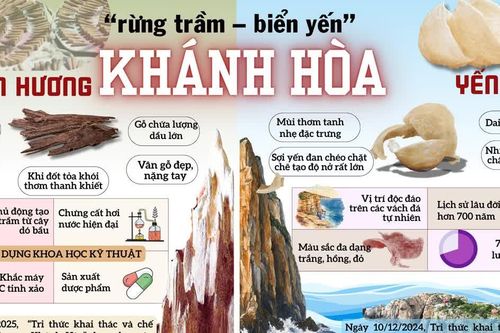 Khánh Hòa - miền đất được mệnh danh là 'rừng trầm - biển yến'