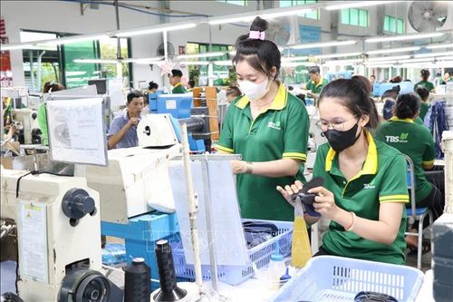 Giảm 30% thuế, thêm dư địa cho doanh nghiệp nhỏ phục hồi và phát triển