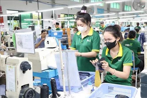 Giảm 30% thuế, thêm dư địa cho doanh nghiệp nhỏ phục hồi và phát triển