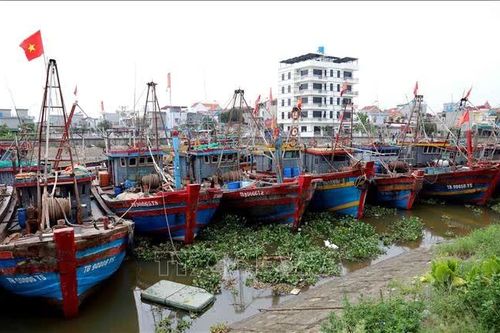 Ứng phó bão số 4: Hưng Yên cấm biển từ 5 giờ ngày 22/8