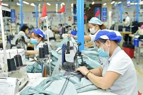 Thời điểm làm sạch doanh nghiệp "ma", doanh nghiệp "ngủ đông"