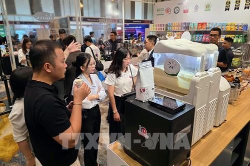 AI và tự động hóa: Lực đẩy mới cho du lịch Đà Nẵng