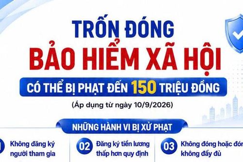 Trốn đóng bảo hiểm xã hội bắt buộc có thể bị phạt đến 150 triệu đồng