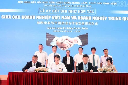 Hội nghị kết nối xúc tiến xuất khẩu nông, lâm, thủy sản năm 2026