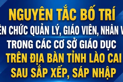 Nguyên tắc bố trí viên chức quản lý, giáo viên, nhân viên trong các cơ sở giáo dục trên địa bàn tỉnh Lào Cai sau sắp xếp, sáp nhập