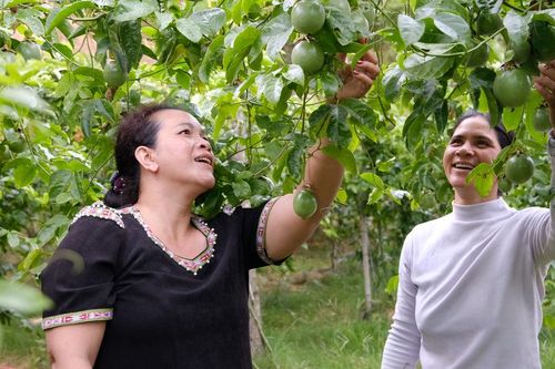 Bí thư gieo niềm tin ở Tân Hạ