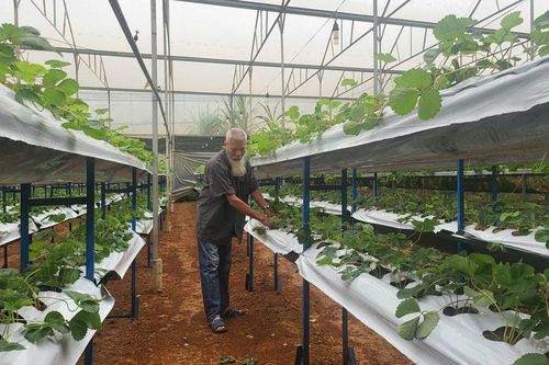 Nông nghiệp số mở hướng sinh kế mới cho đồng bào DTTS
