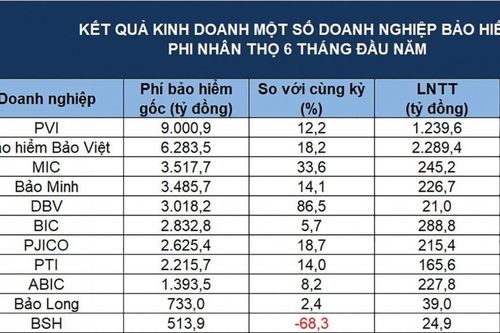 Phí bảo hiểm gốc tăng tốc mùa bán niên, lợi nhuận phân hóa mạnh
