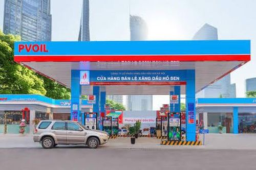 PVOIL (OIL) dự chi hơn 250 tỷ đồng trả cổ tức