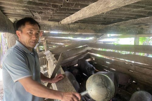 Anh Hoàng Tấư Pá thoát nghèo từ thay đổi tư duy