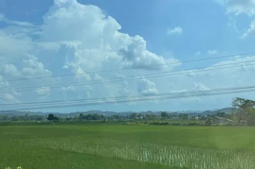 Thời tiết các khu vực trong tỉnh ngày 22/8 đêm và sáng có mưa rào và dông, ngày trời nắng gián đoạn