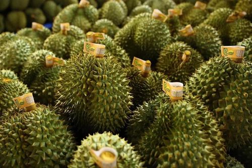 Sầu riêng Việt Nam được Trung Quốc duyệt thêm 401 vùng trồng