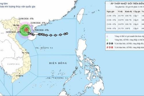 Áp thấp nhiệt đới trên Vịnh Bắc Bộ có khả năng mạnh lên thành bão