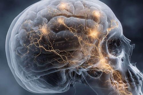 Phát hiện cơ quan mới ẩn trong hộp sọ có khả năng phòng ngừa ung thư não