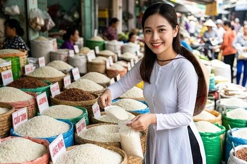 Giá lúa gạo hôm nay 22.8.2026: IR 50404 tăng 200 đồng/kg