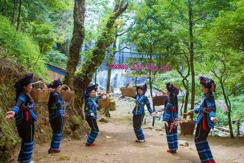 Khám phá 'Hương sắc Sim San' giữa mùa thu Y Tý