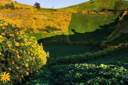 Festival hoành tráng nhân kỷ niệm 21 năm Cồng chiêng được UNESCO vinh danh