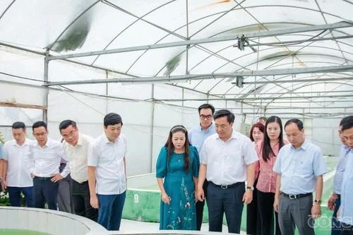 Chủ tịch UBND tỉnh Trần Duy Đông: Gỡ 'nút thắt' khó khăn, đưa nông nghiệp Phú Thọ vươn tầm sinh thái