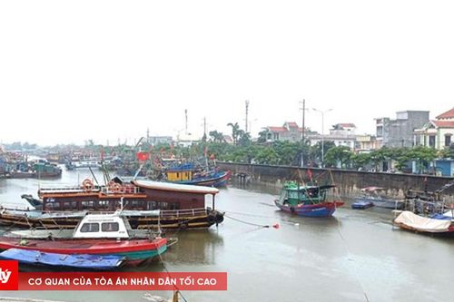 Hải Phòng cấm biển từ 7h sáng 22/8 để ứng phó bão số 4