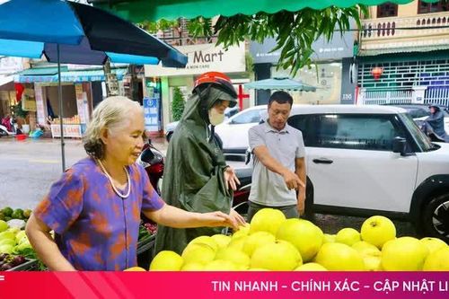 Bưởi Phúc Trạch đầu mùa... xuống phố