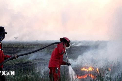 Indonesia huy động 52 máy bay ứng phó tình trạng cháy rừng tại 6 tỉnh