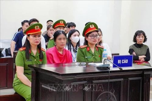 Dời thời gian phúc thẩm vụ cựu Hiệu trưởng Trường THCS Ba Đình (Hà Nội)