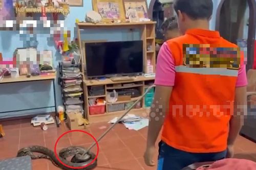 Nghe tiếng động lạ, người dân phát hiện cảnh tượng 'đáng sợ' lúc rạng sáng