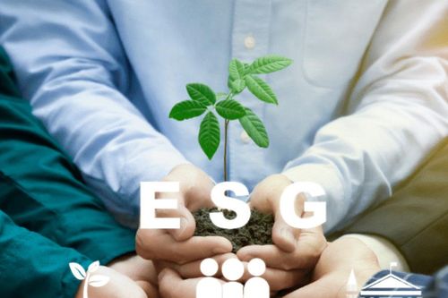 Đánh giá mức độ thực hành ESG của doanh nghiệp Việt