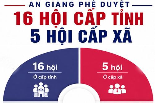 An Giang phê duyệt 16 hội quần chúng cấp tỉnh, 5 hội cấp xã