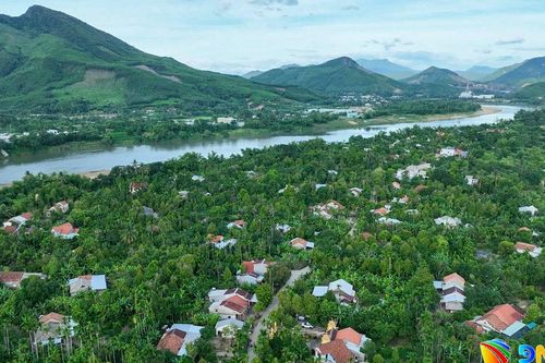 Thăm làng Đại Bình mùa 'ngọt' nhất