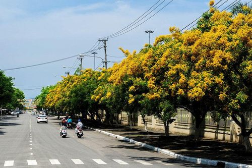 Vùng đất từ những cuộc cộng cư