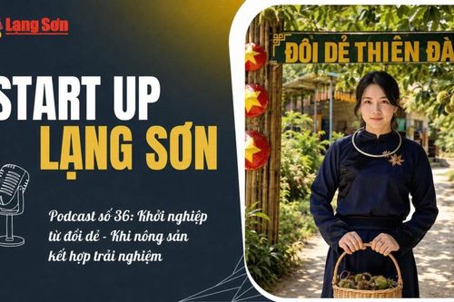 Podcast “Start-up Lạng Sơn” số 36: Khởi nghiệp từ đồi dẻ - Khi nông sản kết hợp trải nghiệm