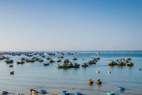 Mãi thoảng nồng hương biển